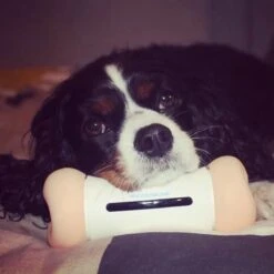 Cheerble Wickedbone|Automatisch Hondenspeeltje|Interactief En Intelligent Speelgoed Voor Honden|App & Bluetooth Bestuurbaar|USB Oplaadbaar -Hondenartikelen Serie Winkel 1200x1200 2464