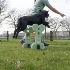 Dog Agility Set Indoor En Outdoor - Honden Trainingsset - -Hondenartikelen Serie Winkel 1200x1200 2465