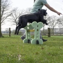 Dog Agility Set Indoor En Outdoor - Honden Trainingsset - -Hondenartikelen Serie Winkel 1200x1200 2466