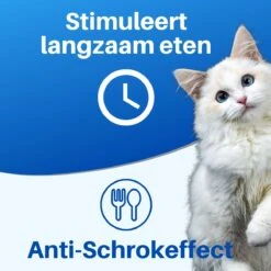 JT Products Siliconen Snuffelmat Zwart - Voor Hond En Kat – Puppy – Kitten – Konijn - Voerbak – Agility Voor De Hond - Honden Speelgoed Intelligentie – Denkspel Hond – Speelgoed Hondje Interactief – Anti Schrok Mat - Likmat -Hondenartikelen Serie Winkel 1200x1200 2498