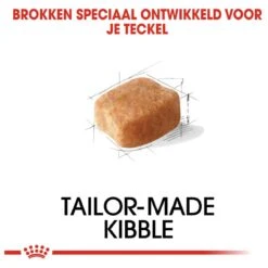 Royal Canin Dachshund/Teckel Adult 7.5 KG 18 Royal Canin Dachshund/Teckel Adult 7.5 KG -Hondenartikelen Serie Winkel 1200x1200 25