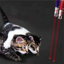 Katten Laser - Lampje Voor De Kat - 2 In 1 - Laser + Wit Lampje - Met Hanger - Katten / Honden Laserlamp - Mini - Sleutelhanger -Hondenartikelen Serie Winkel 1200x1200 2510