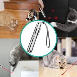 Laserpen - Kattenspeeltjes - Laser - Katten Speelgoed - Kattenspeelgoed - Laserlampje Kat - Speeltjes - Pointer - Lamp - Laserlampje - USB Oplaadbaar -Hondenartikelen Serie Winkel 1200x1200 2522