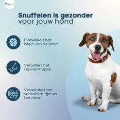 Pawzle Snuffelmat Hond - Likmat - Anti Schrokbak - Honden Speelgoed Intelligentie - Puppy - Inclusief Speelbal - 50x50cm - Blauw 16 Pawzle Snuffelmat Hond - Likmat - Anti Schrokbak - Honden Speelgoed Intelligentie - Puppy - Inclusief Speelbal - 50x50cm - Blauw -Hondenartikelen Serie Winkel 1200x1200 2569