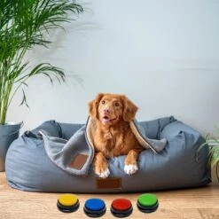 Comfort Company Praatknop Hond | Dogbuttons – Honden Speelgoed | Honden Speelgoed Intelligentie | 4 Stuks | Agility Voor De Hond | 30 Seconden Opnamen | Honden Training -Hondenartikelen Serie Winkel 1200x1200 2580