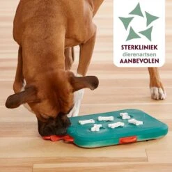 Nina Ottosson Dog Casino - Turquoise/Oranje - 31,5 X 26 X 4,5 Cm -Hondenartikelen Serie Winkel 1200x1200 2590