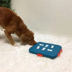 Nina Ottosson Dog Casino - Turquoise/Oranje - 31,5 X 26 X 4,5 Cm -Hondenartikelen Serie Winkel 1200x1200 2592