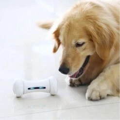 Wickedbone - Automatisch, Interactief En Intelligent Speelgoed Voor Honden - App & Bluetooth Bestuurbaar - USB Oplaadbaar -Hondenartikelen Serie Winkel 1200x1200 2598