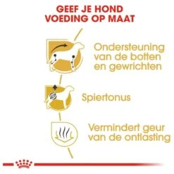 Royal Canin Dachshund/Teckel Adult 7.5 KG 19 Royal Canin Dachshund/Teckel Adult 7.5 KG -Hondenartikelen Serie Winkel 1200x1200 26