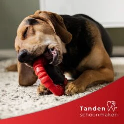 Kauwbot Stuurwiel 2.0 Extra Sterk Melk Geur Smaak En Piep Honden Speelgoed - Kauwspeelgoed Bot Hond - Dutchwide -Hondenartikelen Serie Winkel 1200x1200 2605