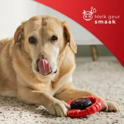 Kauwbot Stuurwiel 2.0 Extra Sterk Melk Geur Smaak En Piep Honden Speelgoed - Kauwspeelgoed Bot Hond - Dutchwide -Hondenartikelen Serie Winkel 1200x1200 2606