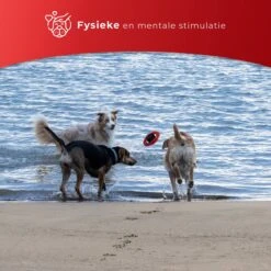 Kauwbot Stuurwiel 2.0 Extra Sterk Melk Geur Smaak En Piep Honden Speelgoed - Kauwspeelgoed Bot Hond - Dutchwide -Hondenartikelen Serie Winkel 1200x1200 2607