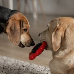 Kauwbot Stuurwiel 2.0 Extra Sterk Melk Geur Smaak En Piep Honden Speelgoed - Kauwspeelgoed Bot Hond - Dutchwide -Hondenartikelen Serie Winkel 1200x1200 2608