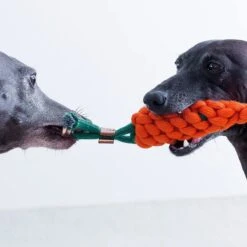 NufNuf - Hondenspeelgoed - Wortel - Stevig En Duurzaam Designspeelgoed -Hondenartikelen Serie Winkel 1200x1200 2613