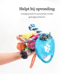 All 4 Pets Supply® Honden Speelgoed Set Geschikt Voor Puppy's T/m Middelgrote Honden - 12 Stuks - Hondenspeeltjes - Intelligentie - Touw - Flostouw - Bijtring - Bal 15 All 4 Pets Supply® Honden Speelgoed Set Geschikt Voor Puppy's T/m Middelgrote Honden - 12 Stuks - Hondenspeeltjes - Intelligentie - Touw - Flostouw - Bijtring - Bal -Hondenartikelen Serie Winkel 1200x1200 2630