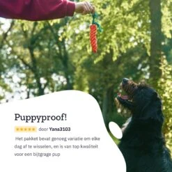 All 4 Pets Supply® Honden Speelgoed Set Geschikt Voor Puppy's T/m Middelgrote Honden - 12 Stuks - Hondenspeeltjes - Intelligentie - Touw - Flostouw - Bijtring - Bal 20 All 4 Pets Supply® Honden Speelgoed Set Geschikt Voor Puppy's T/m Middelgrote Honden - 12 Stuks - Hondenspeeltjes - Intelligentie - Touw - Flostouw - Bijtring - Bal -Hondenartikelen Serie Winkel 1200x1200 2633