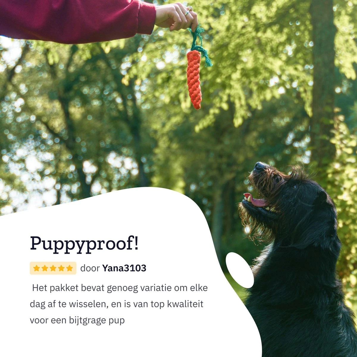 All 4 Pets Supply® Honden Speelgoed Set Geschikt Voor Puppy's T/m Middelgrote Honden - 12 Stuks - Hondenspeeltjes - Intelligentie - Touw - Flostouw - Bijtring - Bal 11 All 4 Pets Supply® Honden Speelgoed Set Geschikt Voor Puppy's T/m Middelgrote Honden - 12 Stuks - Hondenspeeltjes - Intelligentie - Touw - Flostouw - Bijtring - Bal - Afbeelding 9