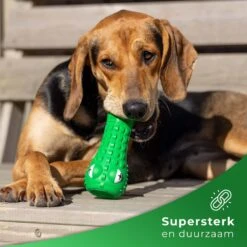 Tandenborstel Hond Melk Geur Smaak En Piep Honden Speelgoed Dog Toy - Krokodil Groen - Dutchwide -Hondenartikelen Serie Winkel 1200x1200 2636