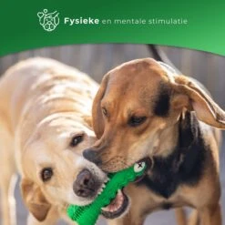 Tandenborstel Hond Melk Geur Smaak En Piep Honden Speelgoed Dog Toy - Krokodil Groen - Dutchwide -Hondenartikelen Serie Winkel 1200x1200 2637