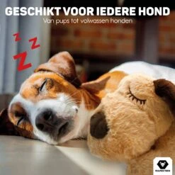 Vulpes Pets® Knuffel Hond Met Hartslag – Puppyknuffel - Hondenknuffel Voor Puppy - Snuggle Puppy - Knuffel Met Hartslag En Gratis Warmte Pad Speciaal Voor Puppy's -Hondenartikelen Serie Winkel 1200x1200 2648