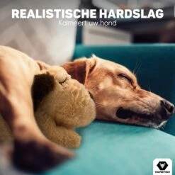 Vulpes Pets® Knuffel Hond Met Hartslag – Puppyknuffel - Hondenknuffel Voor Puppy - Snuggle Puppy - Knuffel Met Hartslag En Gratis Warmte Pad Speciaal Voor Puppy's -Hondenartikelen Serie Winkel 1200x1200 2650