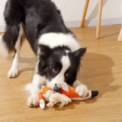 BoDutch Honden Knuffel - Vos - Puppyknuffel - Knisperoortjes - Met Piep - Oranje - 36 Cm - Hondenspeelgoed -Hondenartikelen Serie Winkel 1200x1200 2652