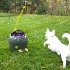 PetSafe Automatische Ballenwerper - Dierenspeelgoed -Hondenartikelen Serie Winkel 1200x1200 2668