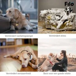 Filo Hondenknuffel Met Hartslag En Warmtebron - Hartslagknuffel Hondenspeelgoed Snuggle Puppy - Knuffel Met Hartslag - Heartbeat Knuffel Hond -Hondenartikelen Serie Winkel 1200x1200 2677