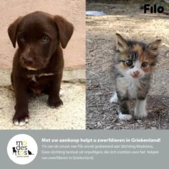 Filo Hondenknuffel Met Hartslag En Warmtebron - Hartslagknuffel Hondenspeelgoed Snuggle Puppy - Knuffel Met Hartslag - Heartbeat Knuffel Hond -Hondenartikelen Serie Winkel 1200x1200 2678