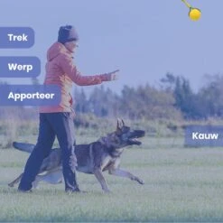 Leashr Honden Speelgoed - Bal Aan Touw - 2 Stuks - Touw - Koord - Kauwspeelgoed - Apporteer - Hond - 7 CM 9 Leashr Honden Speelgoed - Bal Aan Touw - 2 Stuks - Touw - Koord - Kauwspeelgoed - Apporteer - Hond - 7 CM -Hondenartikelen Serie Winkel 1200x1200 2679