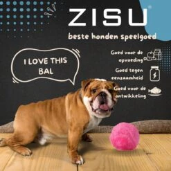 Merkloos Magic Roller Ball – Honden Speelgoed – Kattenspeeltjes - Honden Speeltjes - Kattenspeelgoed - INCLUSIEF BATTERIJ -Hondenartikelen Serie Winkel 1200x1200 2702