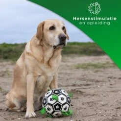 Honden Speelgoed Bal Voetbal Extra Sterk Met Handvaten Ball Hondenbal - 15 Cm - Dutchwide -Hondenartikelen Serie Winkel 1200x1200 2709