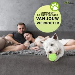 Petloverz Magic Roller Ball – Honden Speelgoed – Premium Automatische Rollende Bal -Hondenartikelen Serie Winkel 1200x1200 2716