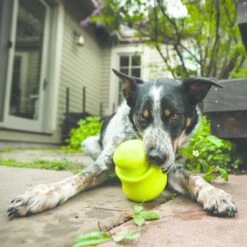 West Paw Toppl Zogoflex - Uitdagend En Sterk Speelgoed Voor Honden - Slowfeeder - Vulbaar Met Voer Of Snacks - Kleur: Groen, Maat: Large 23 West Paw Toppl Zogoflex - Uitdagend En Sterk Speelgoed Voor Honden - Slowfeeder - Vulbaar Met Voer Of Snacks - Kleur: Groen, Maat: Large -Hondenartikelen Serie Winkel 1200x1200 2744
