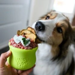 West Paw Toppl Zogoflex - Uitdagend En Sterk Speelgoed Voor Honden - Slowfeeder - Vulbaar Met Voer Of Snacks - Kleur: Groen, Maat: Large 32 West Paw Toppl Zogoflex - Uitdagend En Sterk Speelgoed Voor Honden - Slowfeeder - Vulbaar Met Voer Of Snacks - Kleur: Groen, Maat: Large -Hondenartikelen Serie Winkel 1200x1200 2745