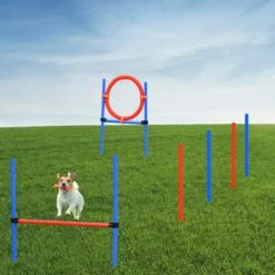 Merkloos Honden Agility Set - 23-delig - Agility Voor De Hond - Agility - Honden Parcours - Honden Training - Rood/Blauw -Hondenartikelen Serie Winkel 1200x1200 2746