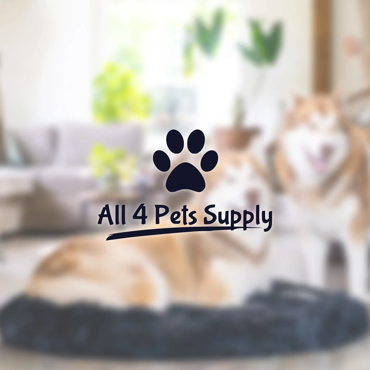 All 4 Pets Supply® Hondenmand Donut - Kattenmand - Maat XS - Geschikt Voor Honden/katten Tot 30 Cm - Hondenkussen - Zwart 12 All 4 Pets Supply® Hondenmand Donut - Kattenmand - Maat XS - Geschikt Voor Honden/katten Tot 30 Cm - Hondenkussen - Zwart - Afbeelding 10