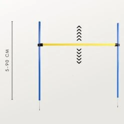 Agility Voor De Hond - Agility Set- Hondentunnel 300 Cm- Slalom Set - Horde - Startveld - Honden Behendigheidsset - 16 Delig - Tunnel - Slalom - Horde - Agility Set Voor De Hond - Agility Set 21 Agility Voor De Hond - Agility Set- Hondentunnel 300 Cm- Slalom Set - Horde - Startveld - Honden Behendigheidsset - 16 Delig - Tunnel - Slalom - Horde - Agility Set Voor De Hond - Agility Set -Hondenartikelen Serie Winkel 1200x1200 2761
