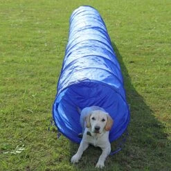 Agility Voor De Hond - Agility Set- Hondentunnel 300 Cm- Slalom Set - Horde - Startveld - Honden Behendigheidsset - 16 Delig - Tunnel - Slalom - Horde - Agility Set Voor De Hond - Agility Set 25 Agility Voor De Hond - Agility Set- Hondentunnel 300 Cm- Slalom Set - Horde - Startveld - Honden Behendigheidsset - 16 Delig - Tunnel - Slalom - Horde - Agility Set Voor De Hond - Agility Set -Hondenartikelen Serie Winkel 1200x1200 2765