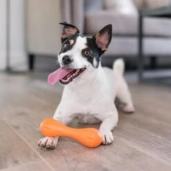 West Paw Zogoflex Hurley - Super Sterk Kauwbot Voor Honden - Kleur: Blauw, Maat: Large -Hondenartikelen Serie Winkel 1200x1200 2768