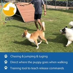 CF Pack - Hond Buitenspeelgoed Actief Behendigheid Touw Dog Flirt Pole Flirtpole Toy Tug Tease Wand Non-Bungee Cord Dog Toy For Fun Obedience Training Extandable Toy Honden Speelgoed Hondenspeelgoed Behendigheidspeelgoed -Hondenartikelen Serie Winkel 1200x1200 2772