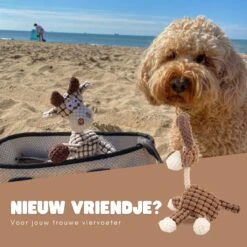 Dutchwide Honden - Knuffel - Met Piep - Extra Sterk - Speelgoed - Pluche - Hondenknuffel - Intelligentie -Hondenartikelen Serie Winkel 1200x1200 2790