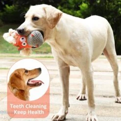 Merkloos Hondenknuffel - Interactief Piepspeelgoed Voor Honden - Teddy - Stoer Hondenkauwspeelgoed - Met Katoenen Materiaal En Gekreukt Papier - Hondenspeelgoed Voor Grote En Kleine Honden -Hondenartikelen Serie Winkel 1200x1200 2795