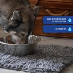 Royal Dry Absorberende Anti-knoeimat Voor Honden – Trekt Vuil Als Een Spons – Laat Geen Vocht Door – 61x45 Cm – Microfiber Chenille – Geschikt Voor Honden En Overige Huisdieren -Hondenartikelen Serie Winkel 1200x1200 285