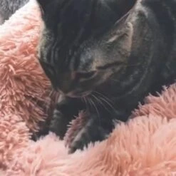 Snoozle Donut Hondenmand - Zacht En Luxe Hondenkussen - Wasbaar - Fluffy - Hondenmanden - 50cm - Grijs -Hondenartikelen Serie Winkel 1200x1200 289