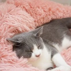 Topmast Fluffy Donut - Dierenmand - Donut Hondenmand - Roze - 50 Cm -Hondenartikelen Serie Winkel 1200x1200 294