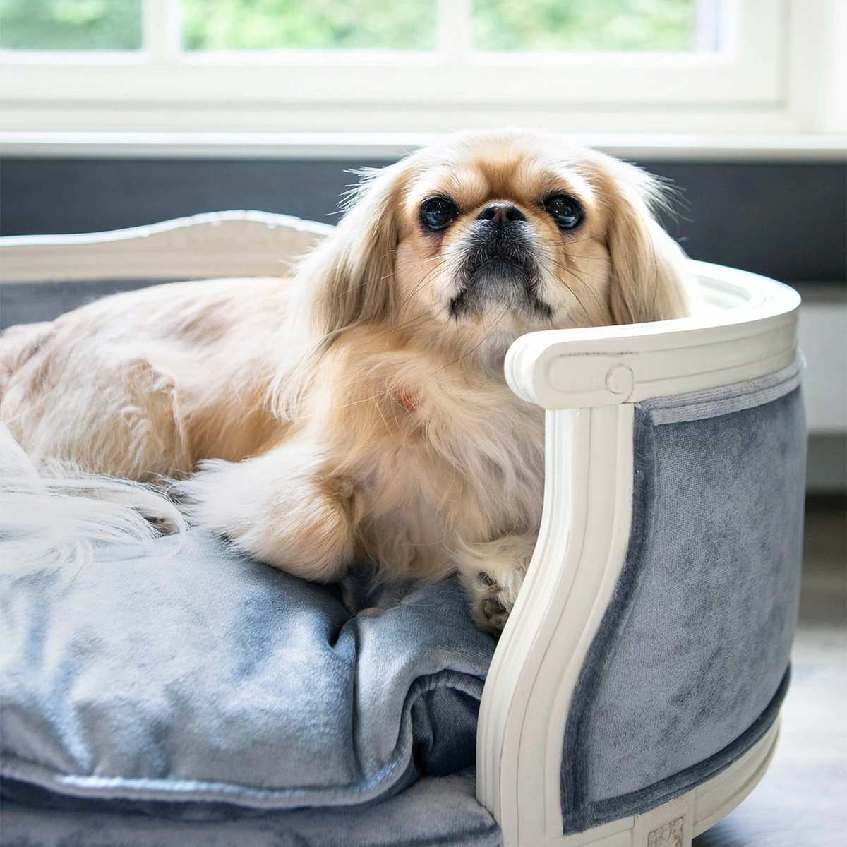 Lord Lou - George Blauw Velvet S - Luxe Hondenmand - Luxe Kattenmand - 49x40x31 9 Lord Lou - George Blauw Velvet S - Luxe Hondenmand - Luxe Kattenmand - 49x40x31 - Afbeelding 7