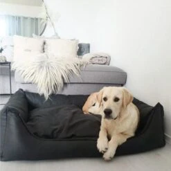 Maxxnobel Orthopedisch Hondenkussen - Lederlook/Teddy - M - 100 X 80 Cm - Zwart -Hondenartikelen Serie Winkel 1200x1200 317