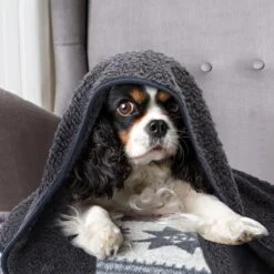 Nobleza 40UWK Hondendeken - Dierenmat - Benchkleed - 120x100cm - Grijs -Hondenartikelen Serie Winkel 1200x1200 329