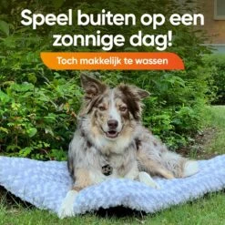 Happysnoots Hondenkussen 70 X 50cm - Hondenbed - Donut Dog Bed - Fluffy - Grijs - Wasbaar -Hondenartikelen Serie Winkel 1200x1200 348